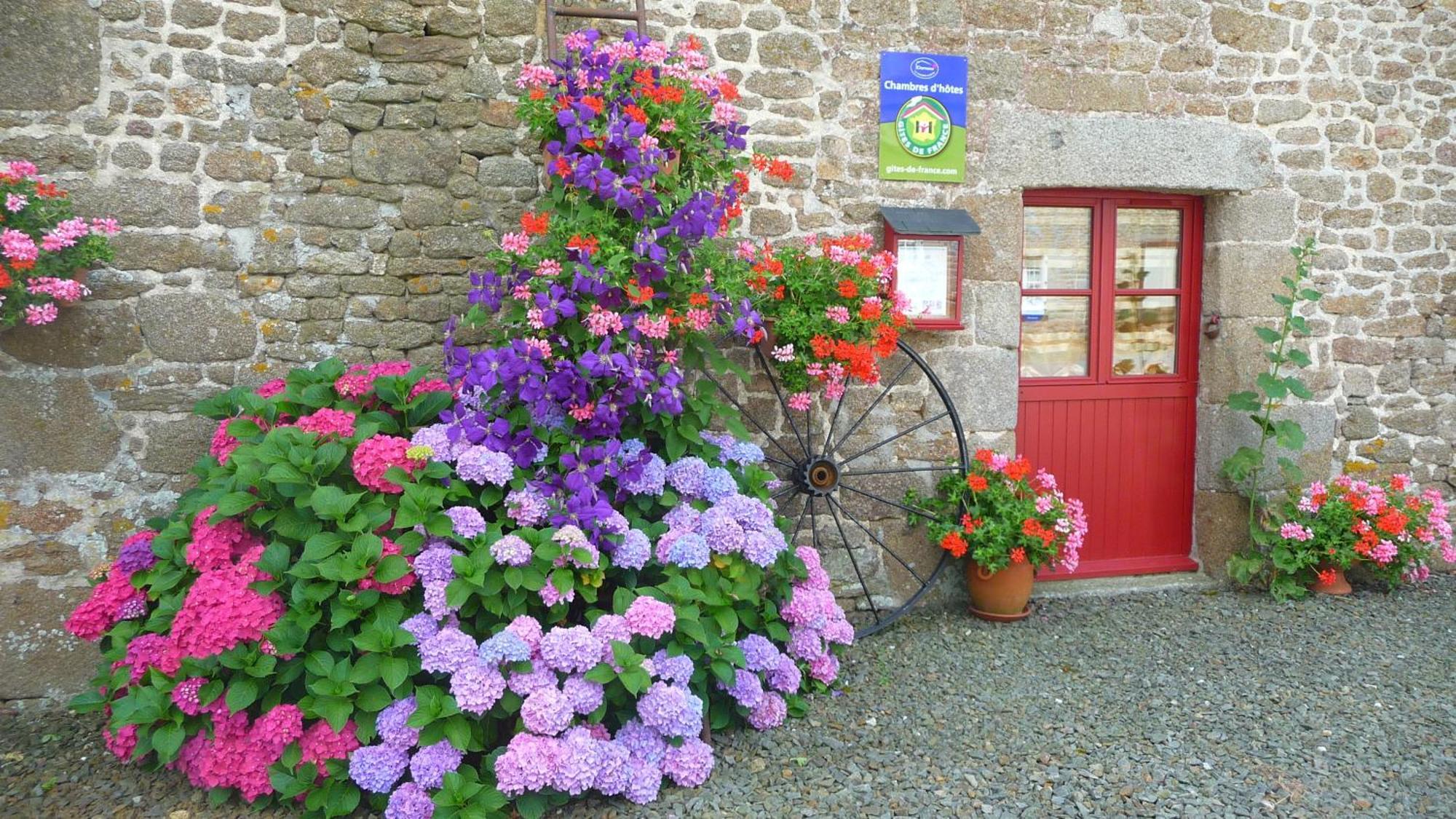 Chambres D'Hotes Le Bas Rassinoux Saint-Ouen-des-Alleux Luaran gambar
